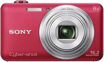 Amazon.com : Sony DSC-WX80/R 16 MP Digital Camera with 2.7-Inch
